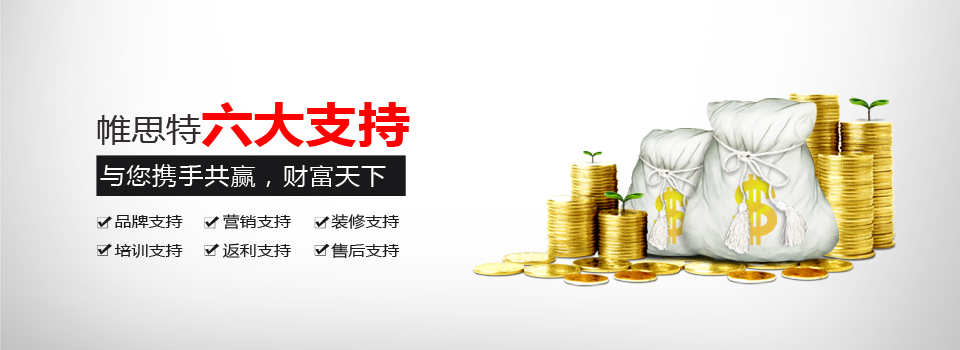 帷思特六大支持，与您携手共赢，财富天下